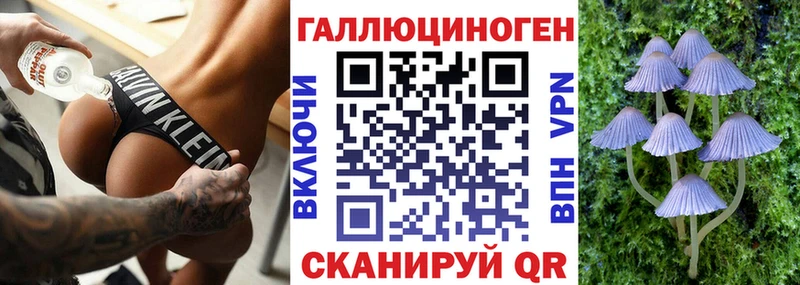 Галлюциногенные грибы Psilocybine cubensis  mega ONION  Казань  купить наркоту 